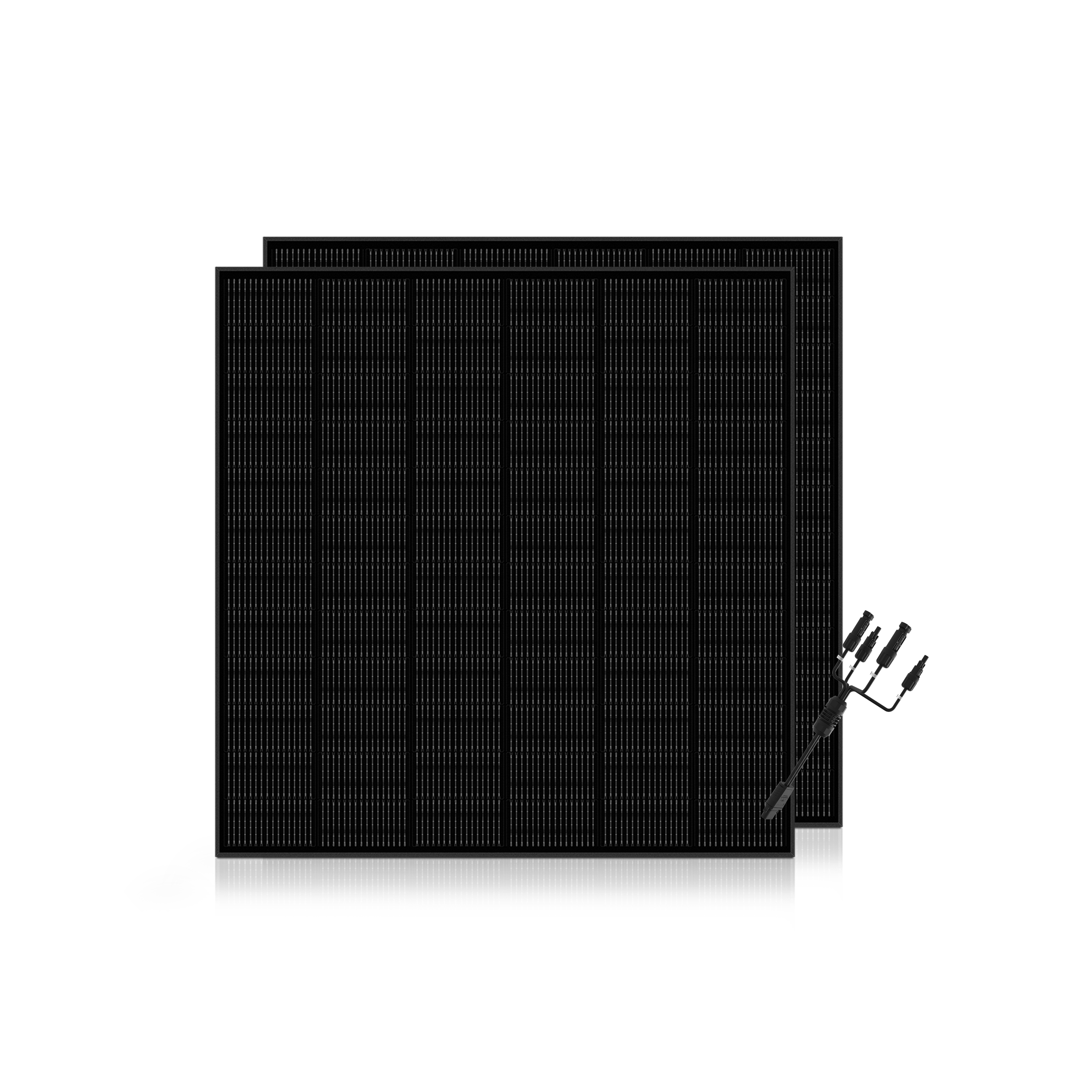 Ray Flachdach oder Garten 285W Solarmodul - 2*285W Solarmodule / Mit MC4-Adapterkabel