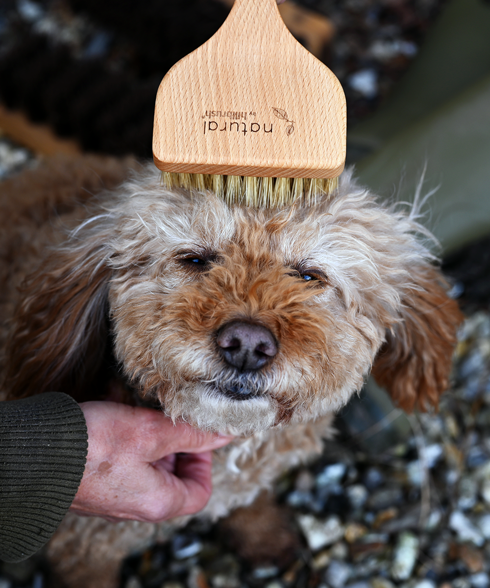 Natural by Hillbrush Angled Pet Grooming Brush - Soft - 100% FSC® Certified Beechwood / Light Natural Bristle / 6cm 17cm 8.5cm 0.087kg