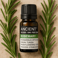 Rosemary Essential Oil Steam Distilled, 10 ml