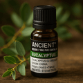 Eucalyptus Essential Oil 10 ml