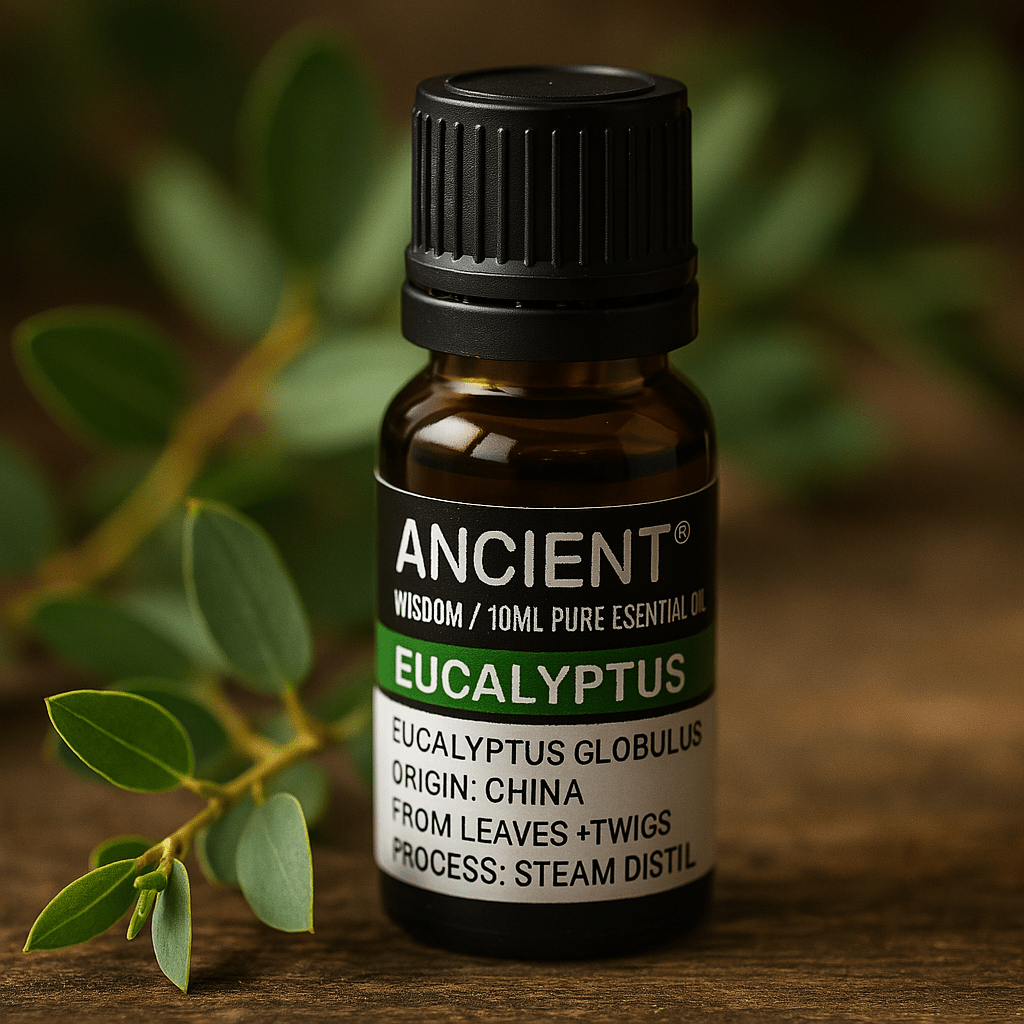 Eucalyptus Essential Oil 10 ml