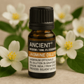 Jasmine Essential Oil 5 Percent Dilution 10 ml