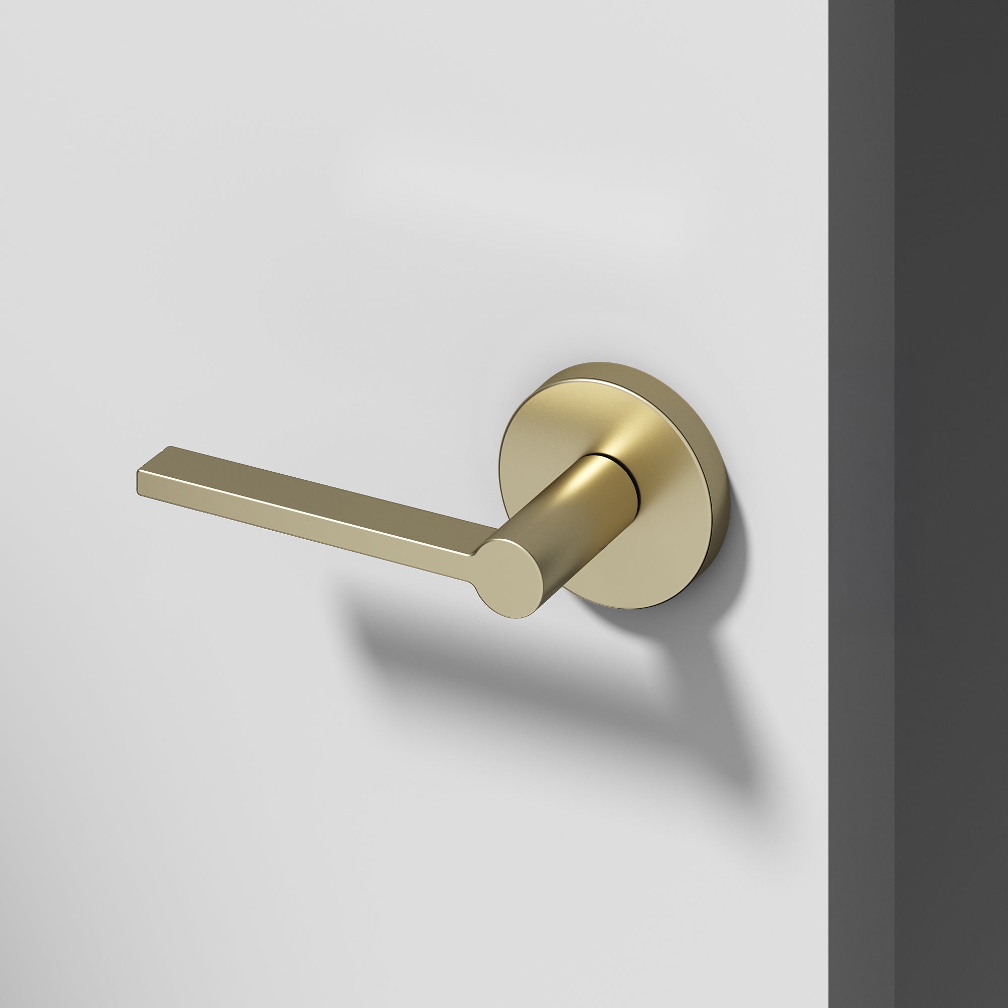 Muse Dummy Door Handle - Brushed Champagne Gold / 1 Pack