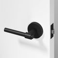 Zen	Passage Door Handle - Matte Black / 1 Pack