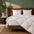 Pack couette + 2 oreillers fibres - 240x280 / 65x65