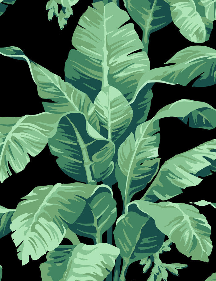 'Pacifico Palm' Wallpaper by Nathan Turner - Onyx - Traditional / 27 in. x 27 ft.
