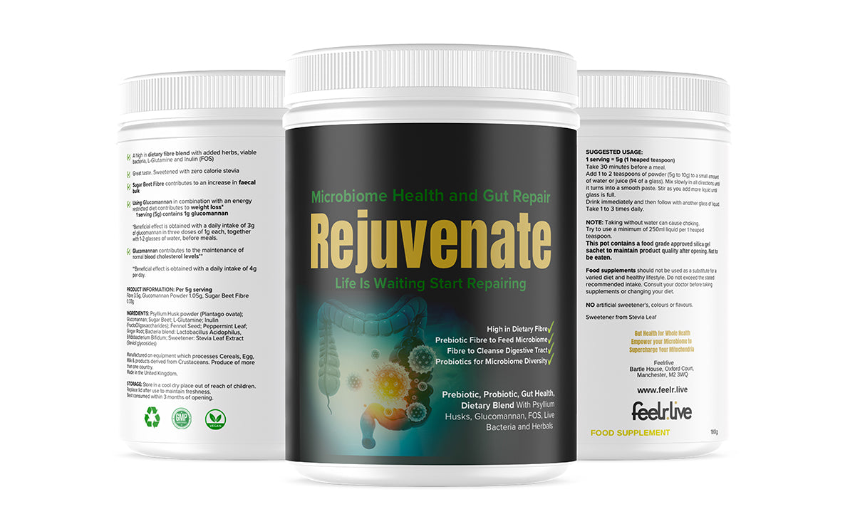 Rejuvenate Microbiome Health & Leaky Gut Powder 3 Pack