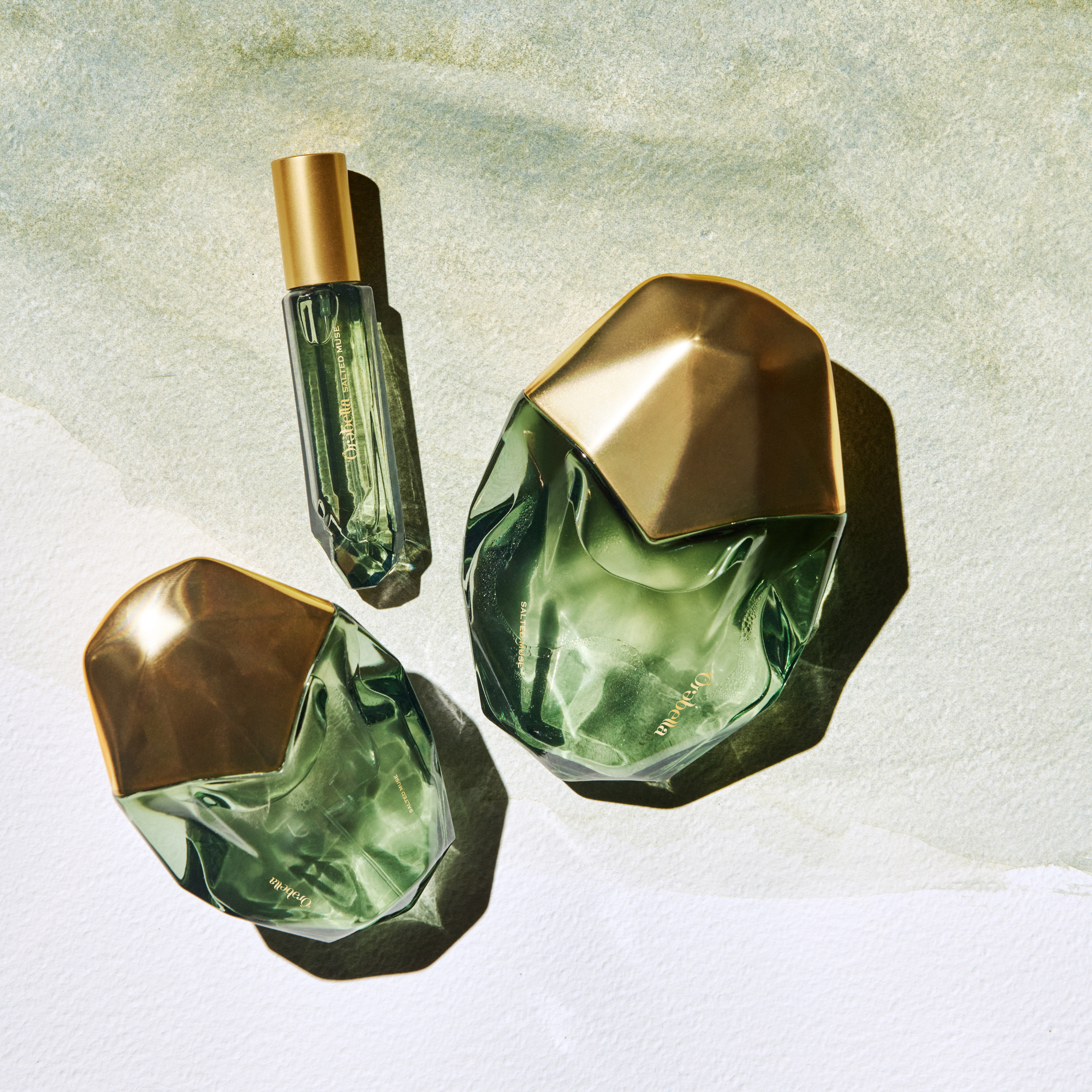 SALTED MUSE BUNDLE