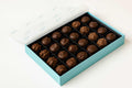 Andy Anand Sugar-Free Chocolate Sampler, 13 oz – Diabetic-Friendly, Assorted Gourmet Flavors, Guilt-Free Indulgence, Birthday & Holiday Gift - No