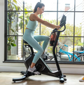 Schwinn 590U Upright Bike