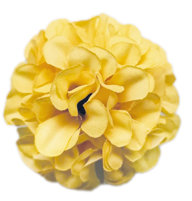 "Cute Camellias" Flower Making Kit - YELLOW