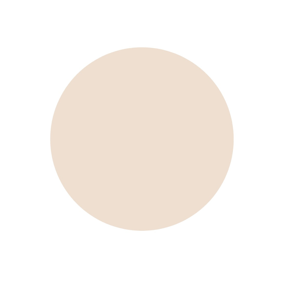 Protect and Correct Concealer SPF 35 - FAIR