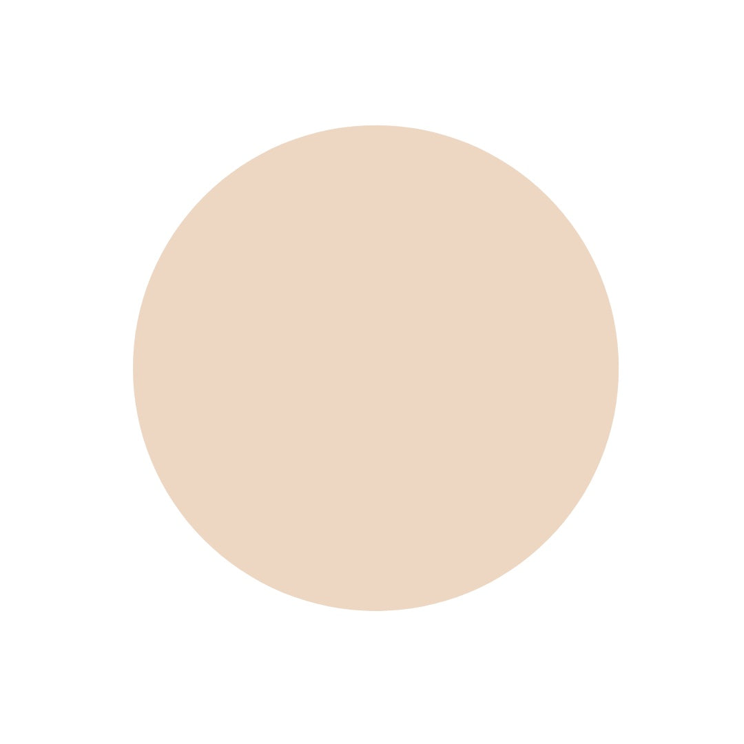 Protect and Correct Concealer SPF 35 - LIGHT