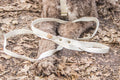 Simply Hemp Hondenriem | Schelpenwit - 1.80 meter / 1.5 cm