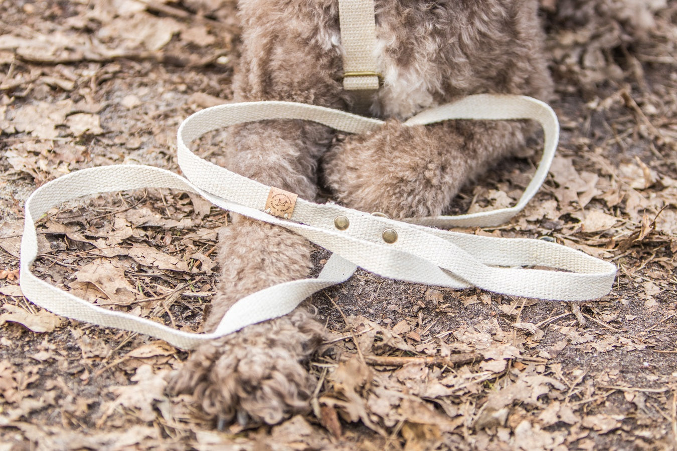 Simply Hemp Hondenriem | Schelpenwit - 1.80 meter / 1.5 cm