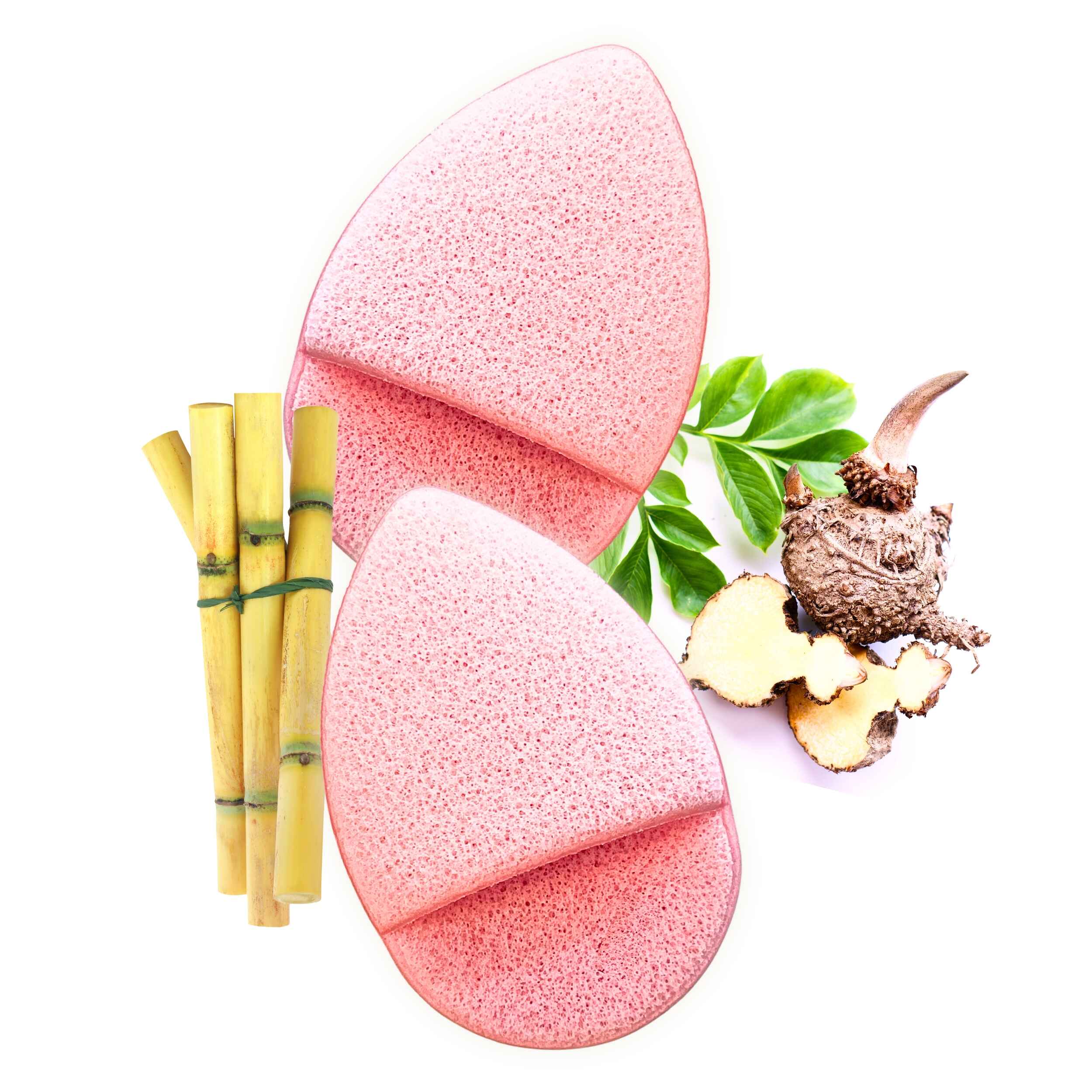 Face Sponges 2PC Set | Natural Konjac & Sugarcane Bioplastic | Gentle Exfoliating | All Skin Types | Essential SPA