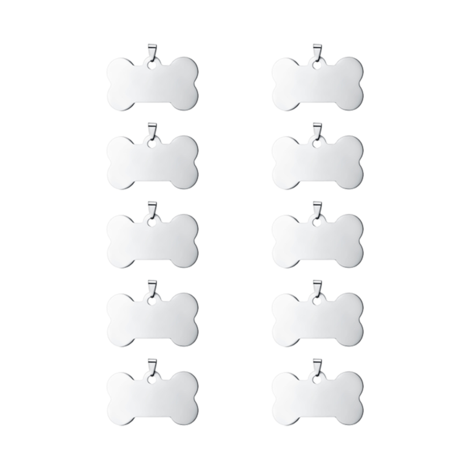 Stainless Steel Bone Tags (10pcs)