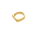 Tavas Flat Ring - 5.5 / Silver