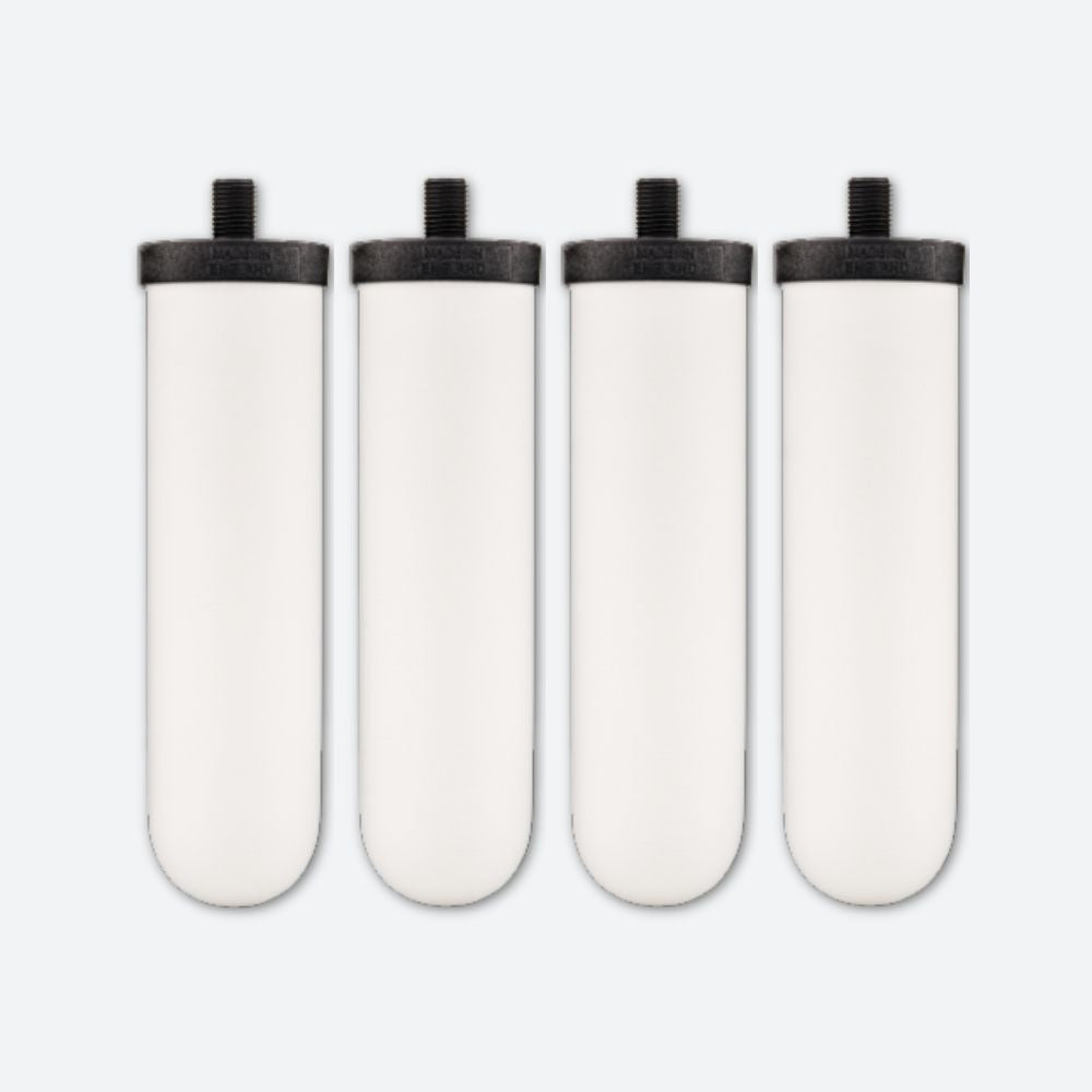 British Berkefeld® Ultra Sterasyl® (8674) - Four
