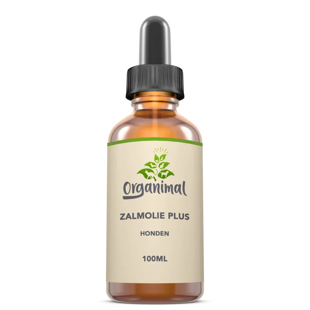 Organimal Zalmolie Plus – Honden