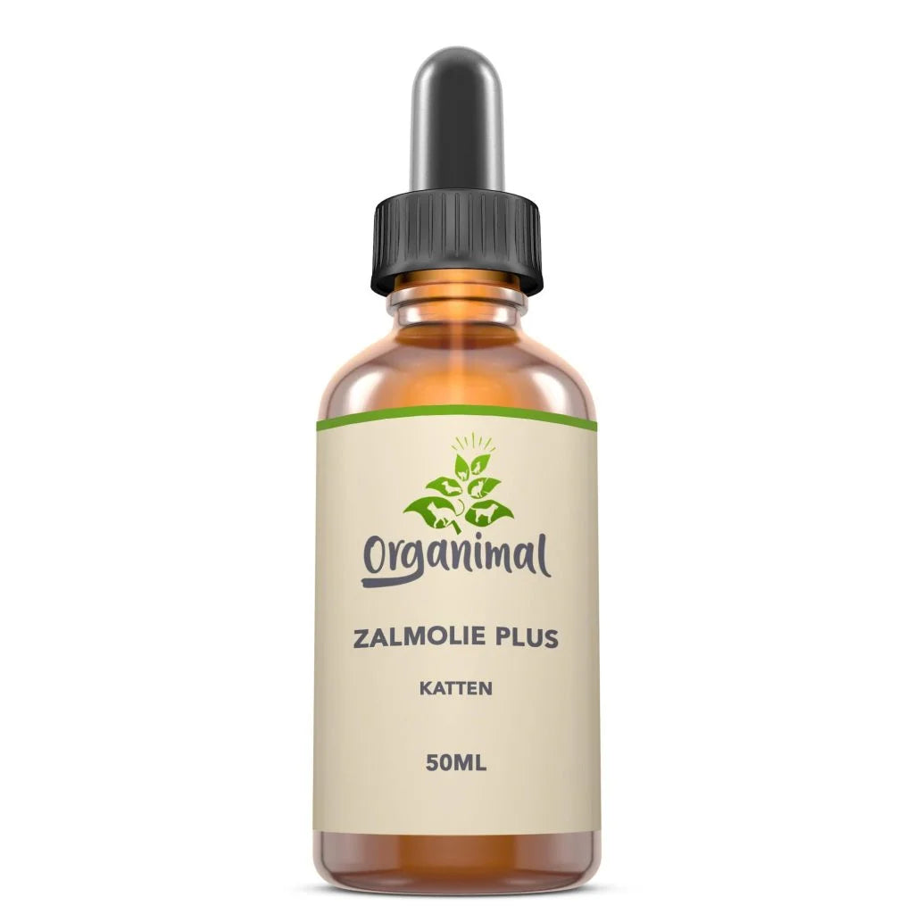 Organimal Zalmolie Plus – Katten