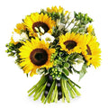 Spring Sunshine - Deluxe