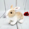 Andy Anand Plush Rabbit Bunny, 11-Inch – Adorable Soft Bakery Gift for Birthdays, Easter, Valentine's Day & Anniversary Celebration Orders