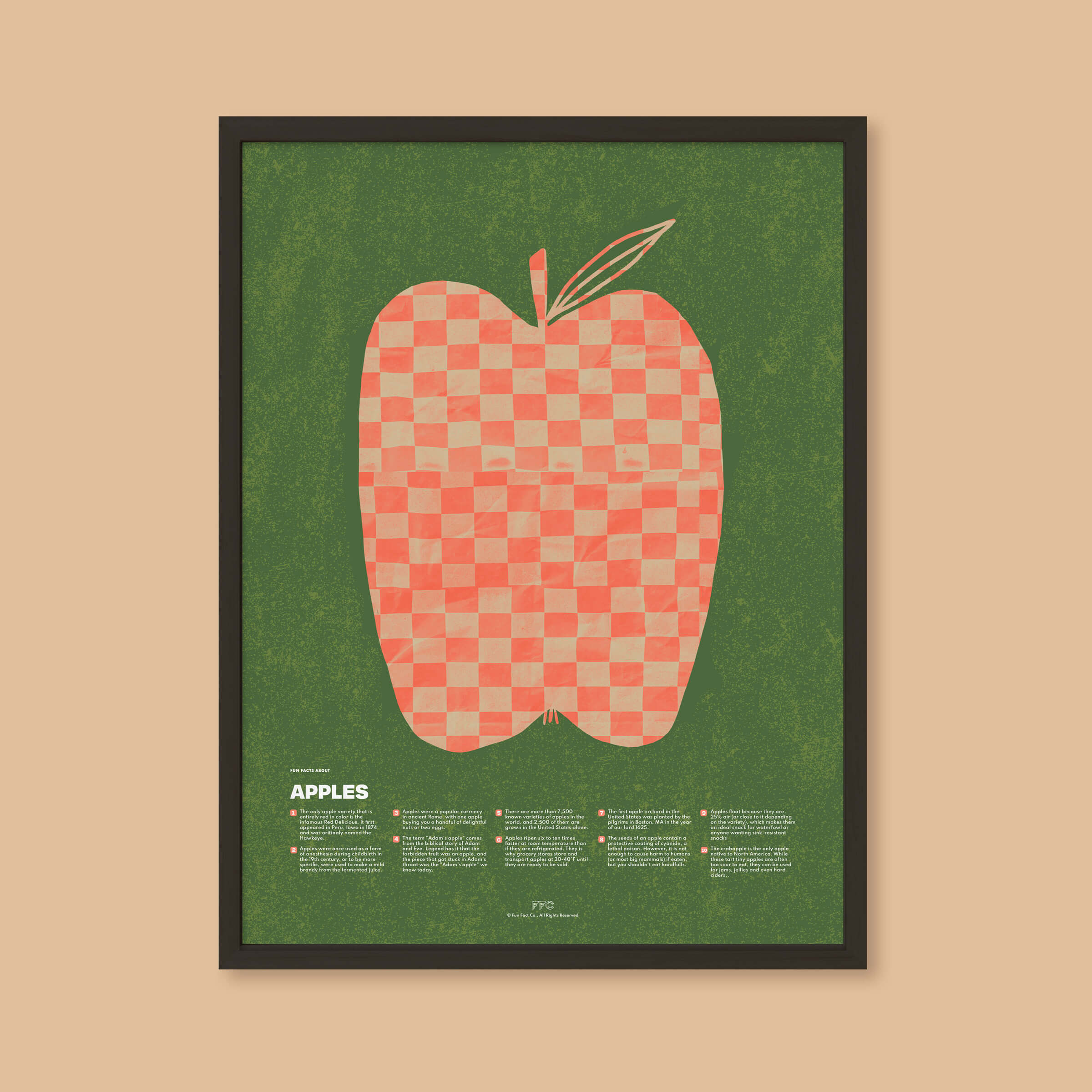 Apple Fun Facts Print - 24x36" / Black Frame