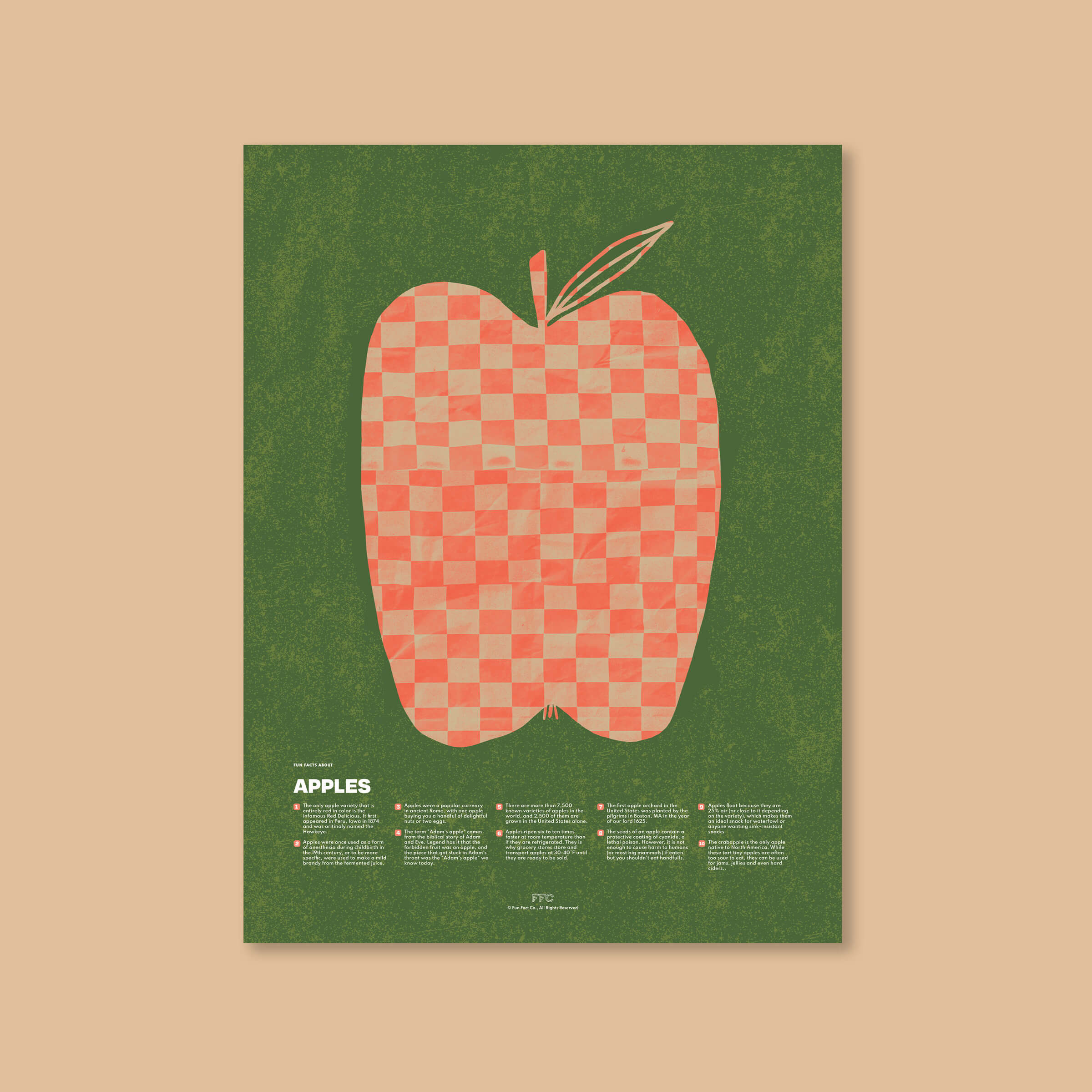 Apple Fun Facts Print - 24x36" / Unframed