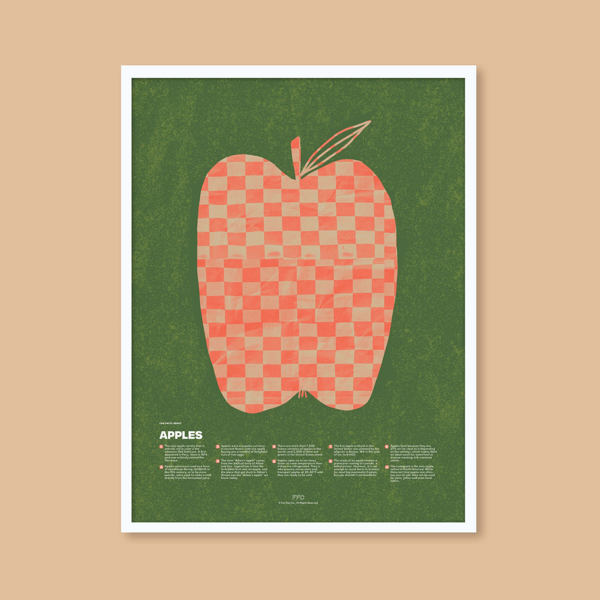 Apple Fun Facts Print - 12x16" / White Frame