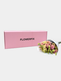 Apricot Eustoma (Lisianthus) - Large