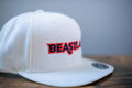 Beastland Snapback Hat - OSFM / Natural