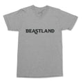 Beastland T-Shirt in Gray - XXL
