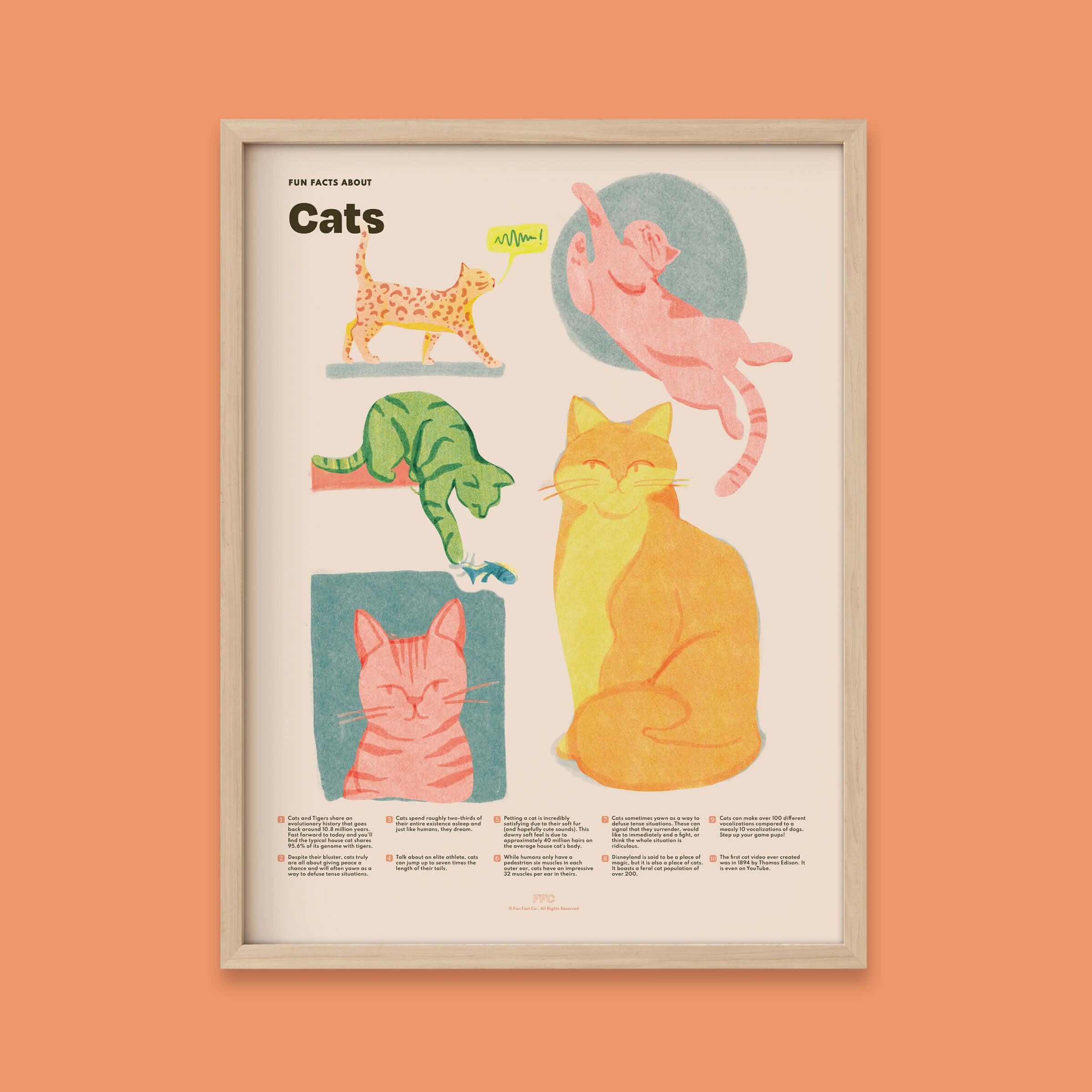 Cat Fun Facts Print - 12x16" / Natural Frame