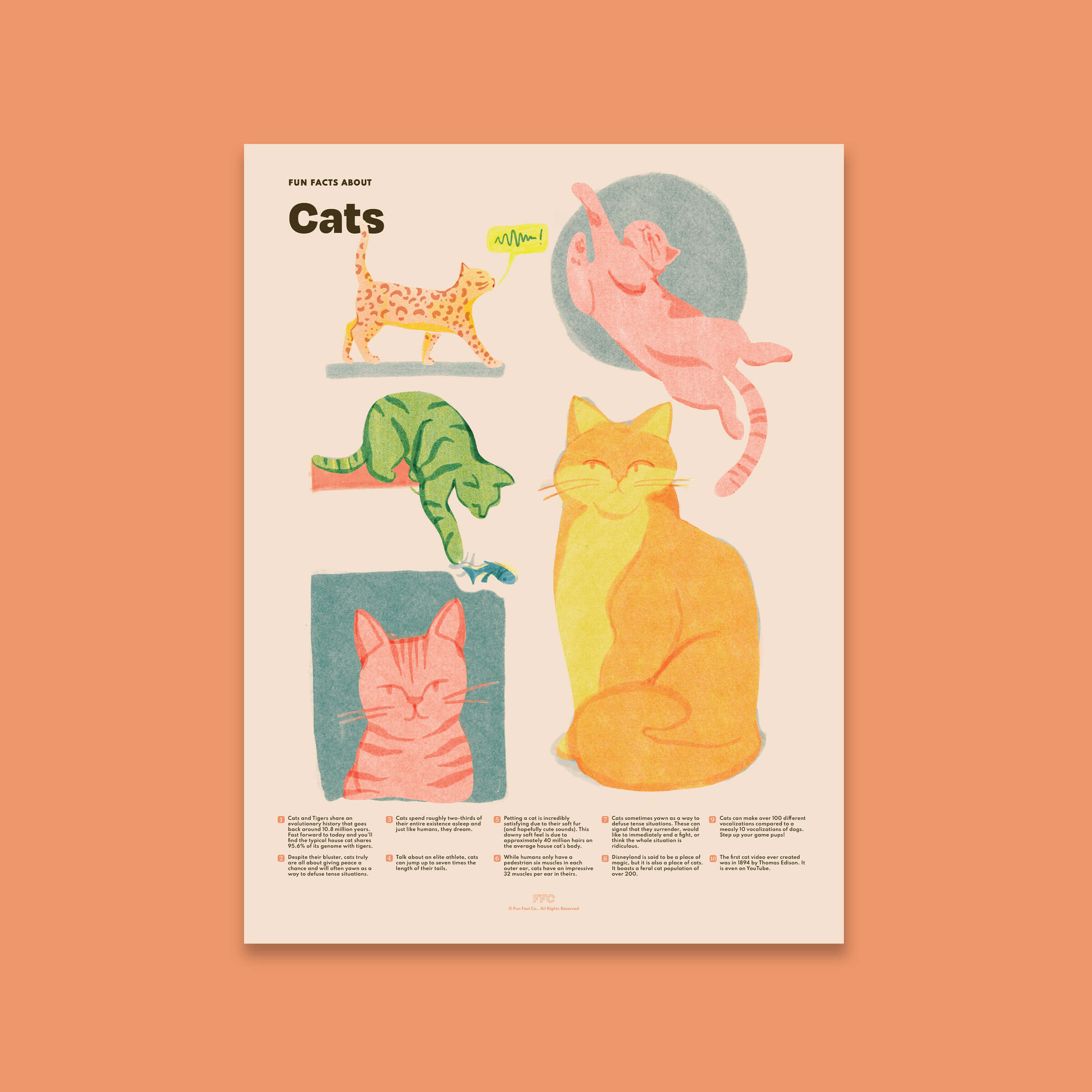 Cat Fun Facts Print - 18x24" / Unframed