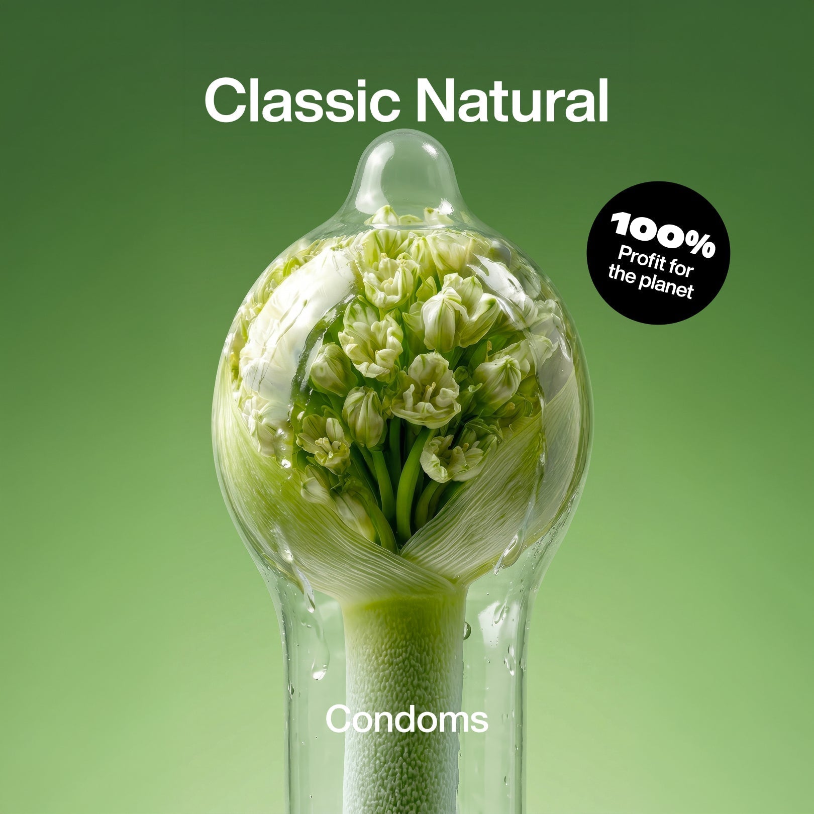Classic Natural Condoms - Regular - 10 / 56 mm