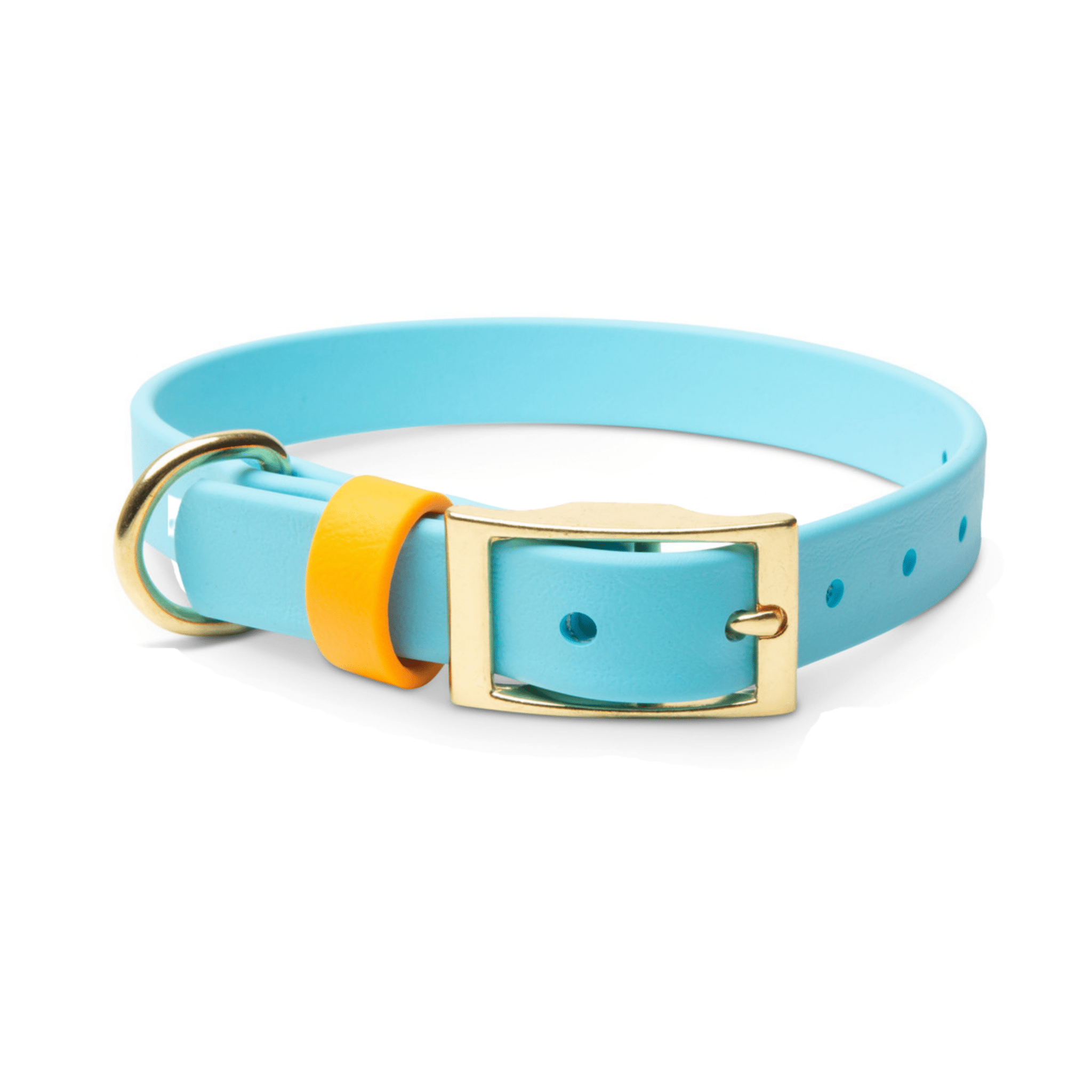 Biothane Dog Collars with Name Plate (Blue/Orange) - Small