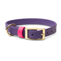 Waterproof Pink & Purple Dog Collar - Stylish and Smell Free (Purple, Pink) - Small