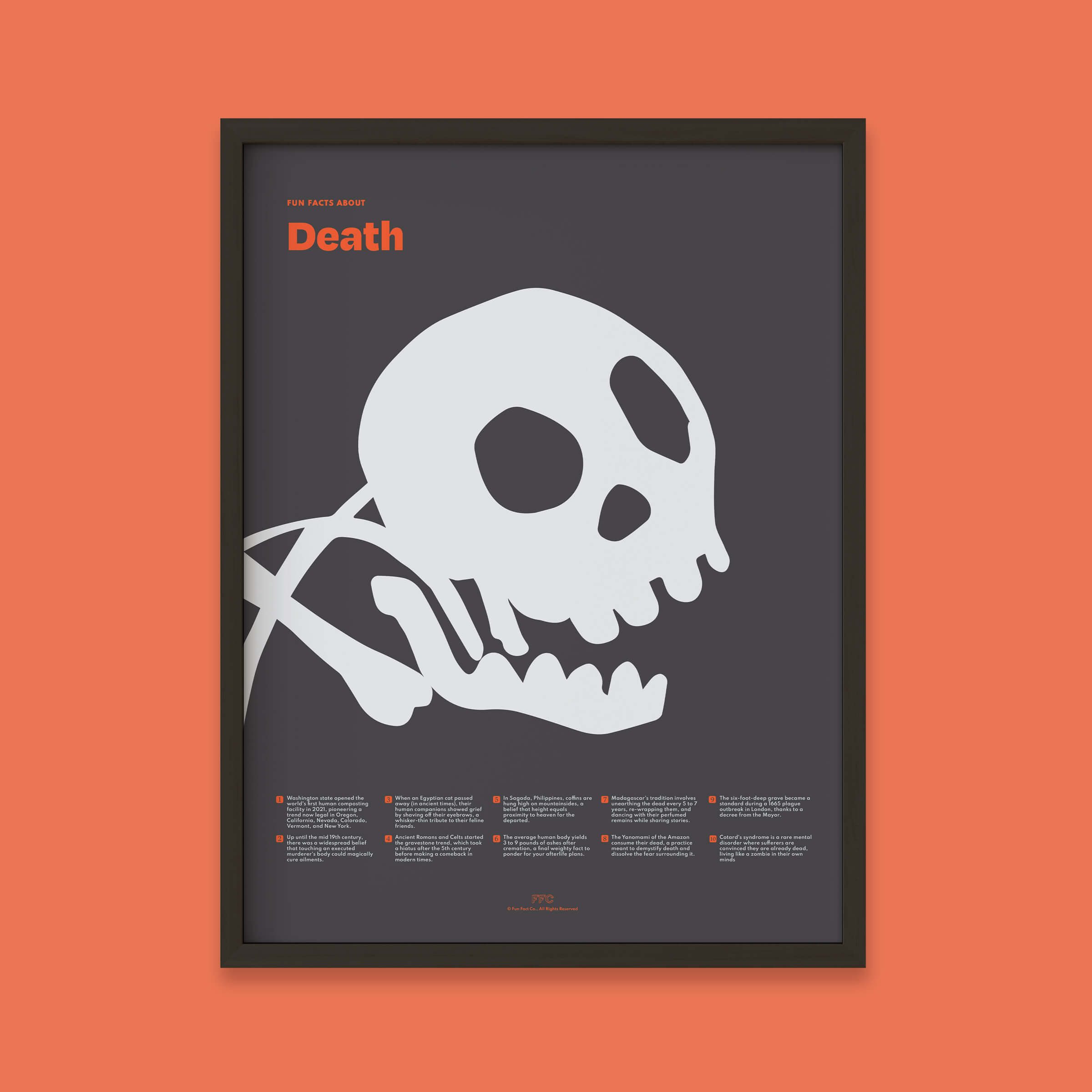Fun Facts About Death Print - 18x24" / Black Frame
