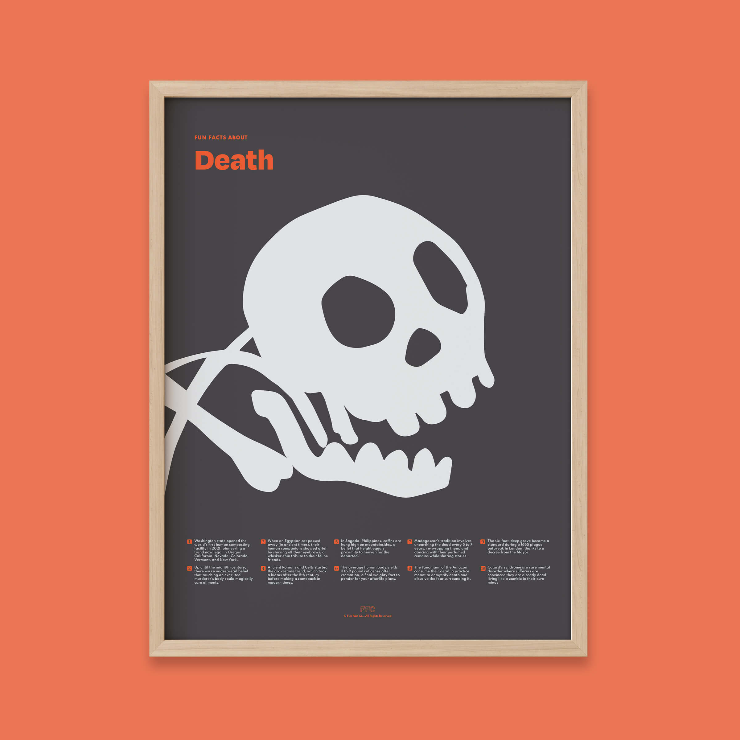 Fun Facts About Death Print - 12x16" / Natural Frame