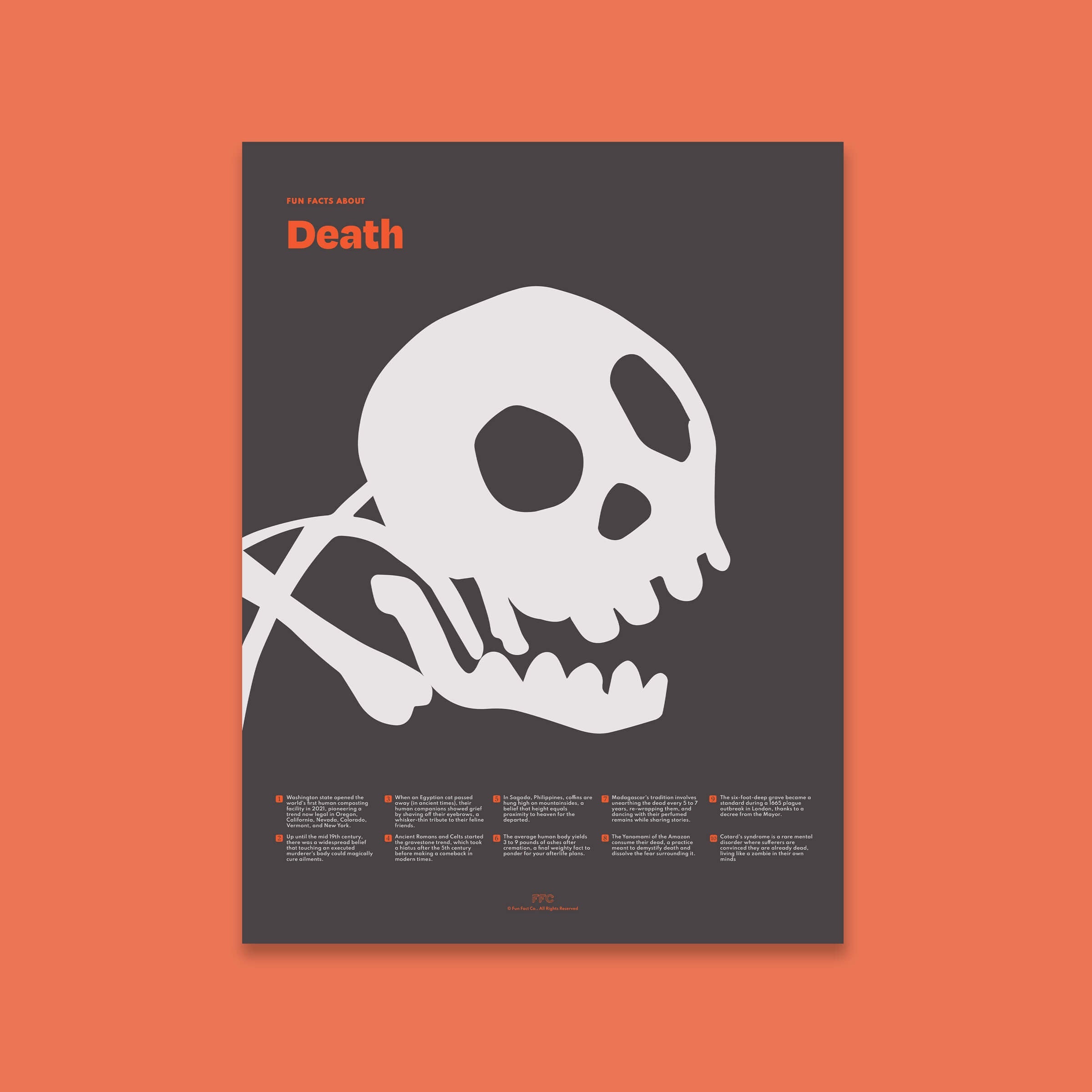 Fun Facts About Death Print - 18x24" / Unframed
