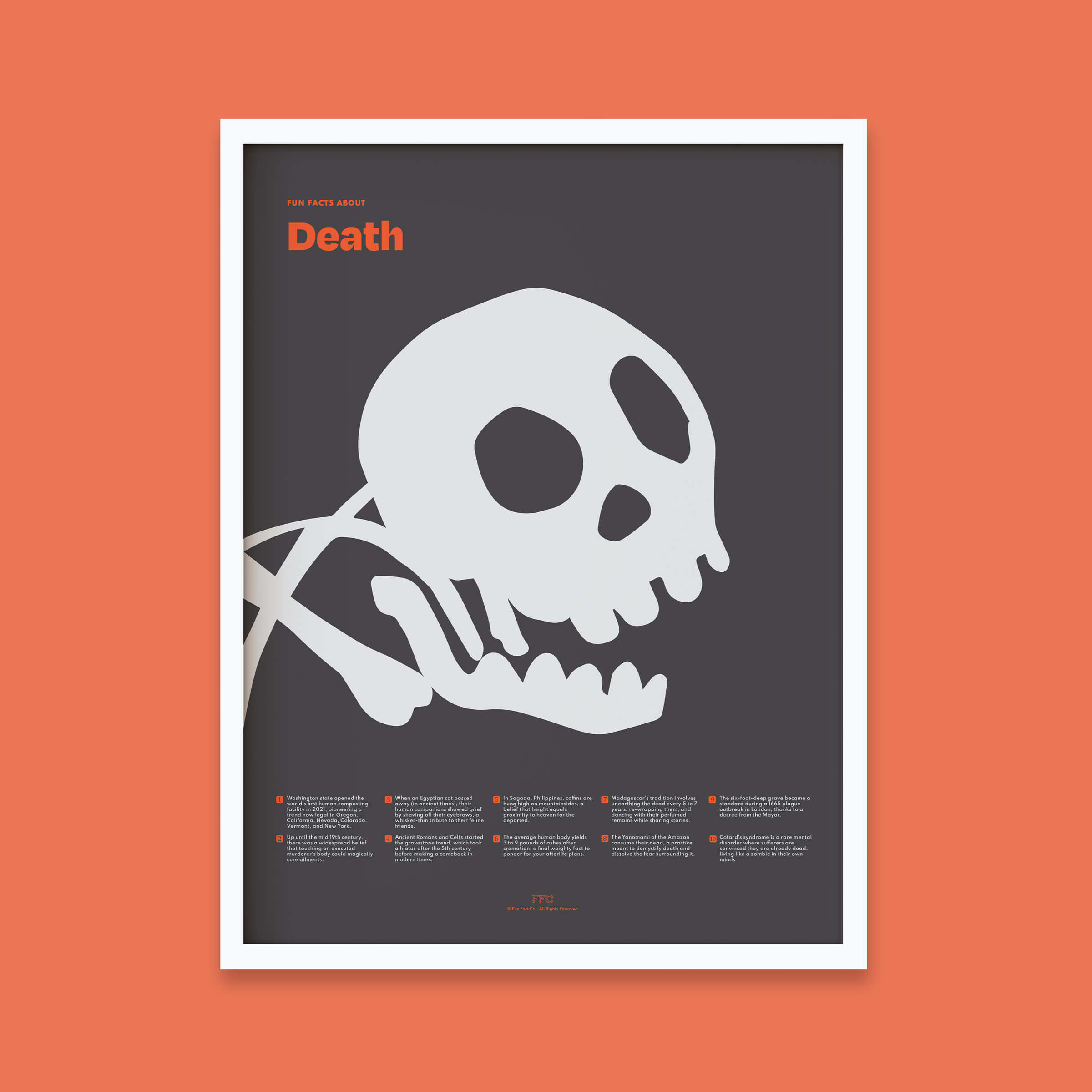 Fun Facts About Death Print - 12x16" / White Frame