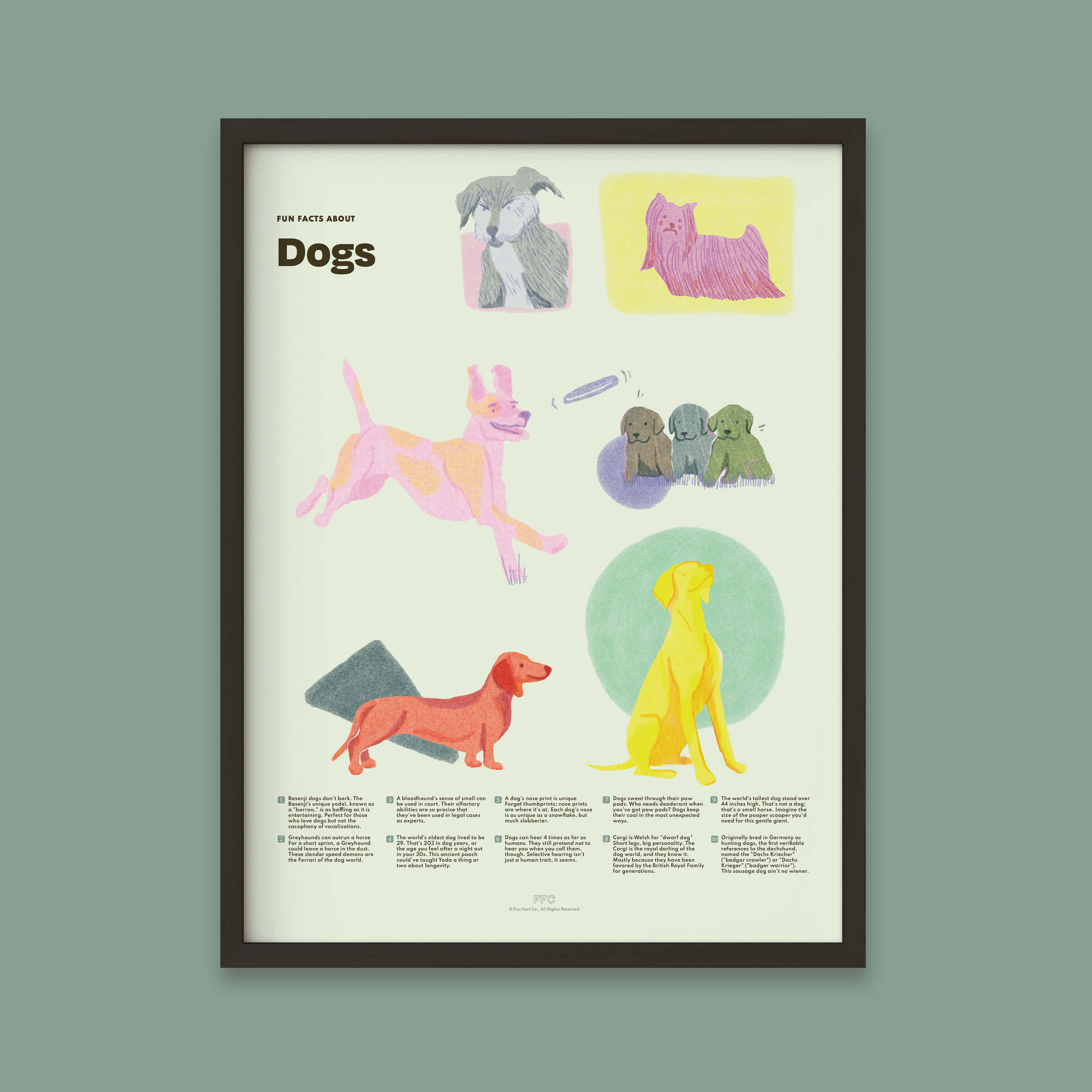 Dog Fun Facts Print - 12x16" / Black Frame