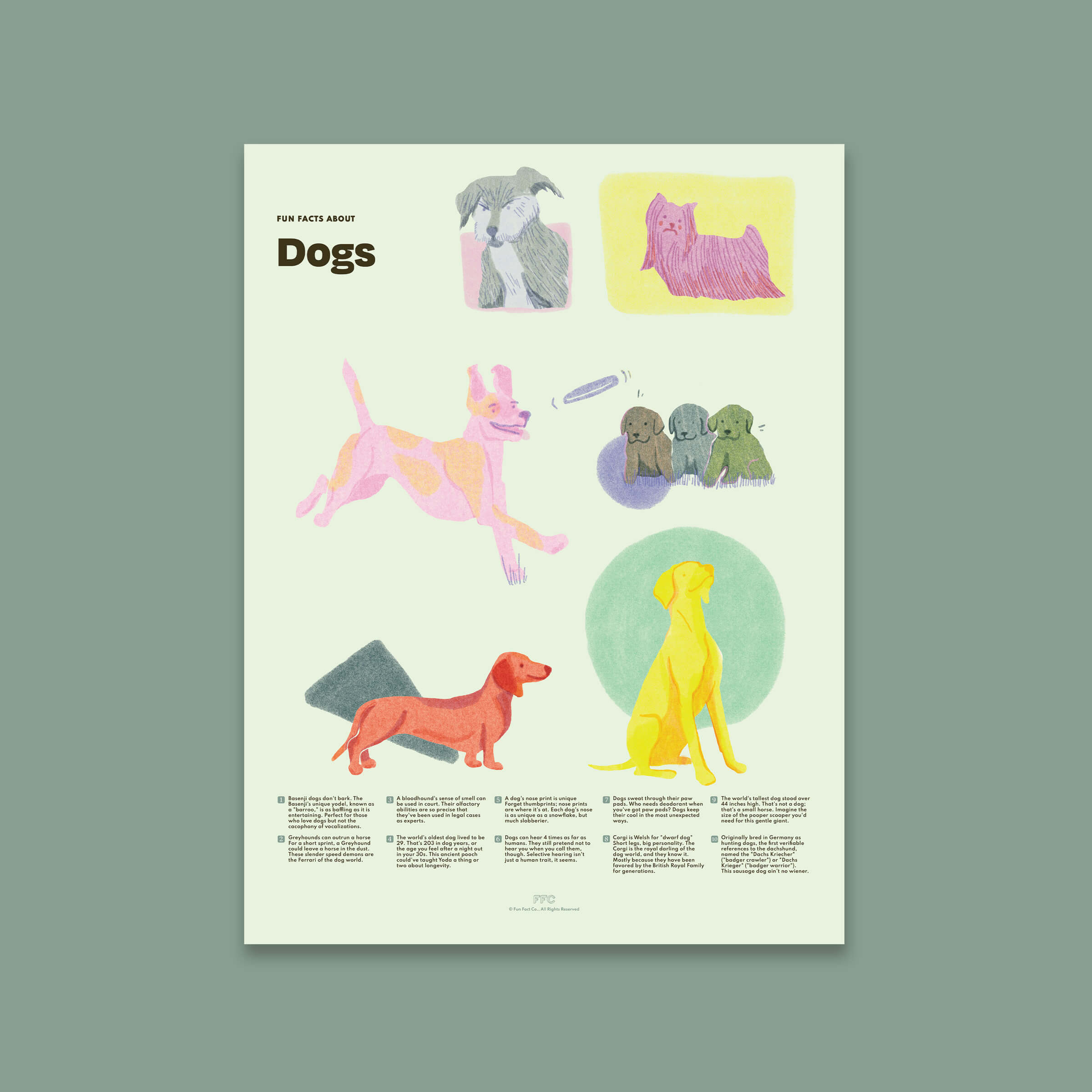 Dog Fun Facts Print - 24x36" / Unframed
