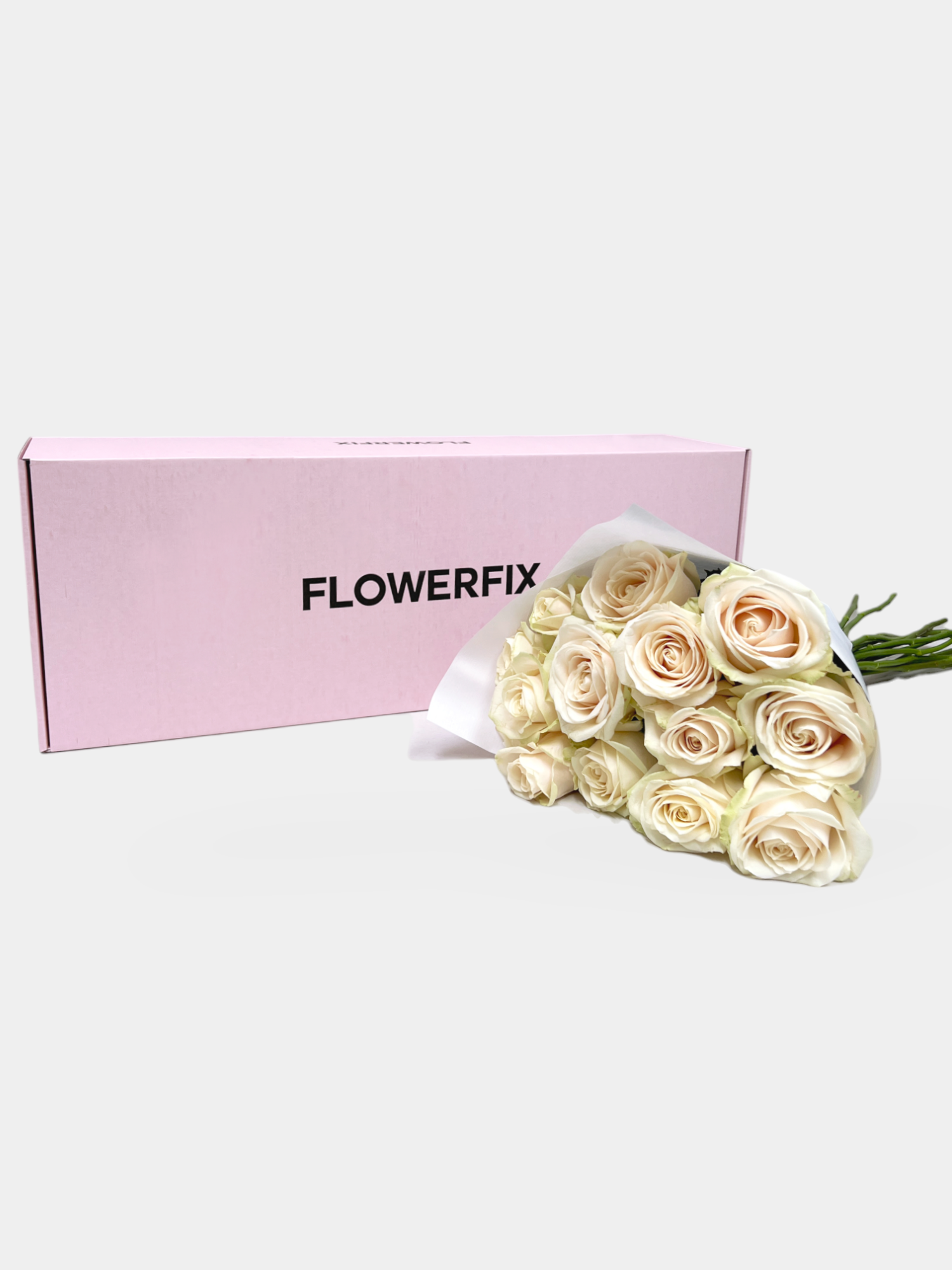 Dorchester Roses - 10 Stems