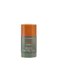 Roma Uomo Deo Stick 75 gr. - 75 GR