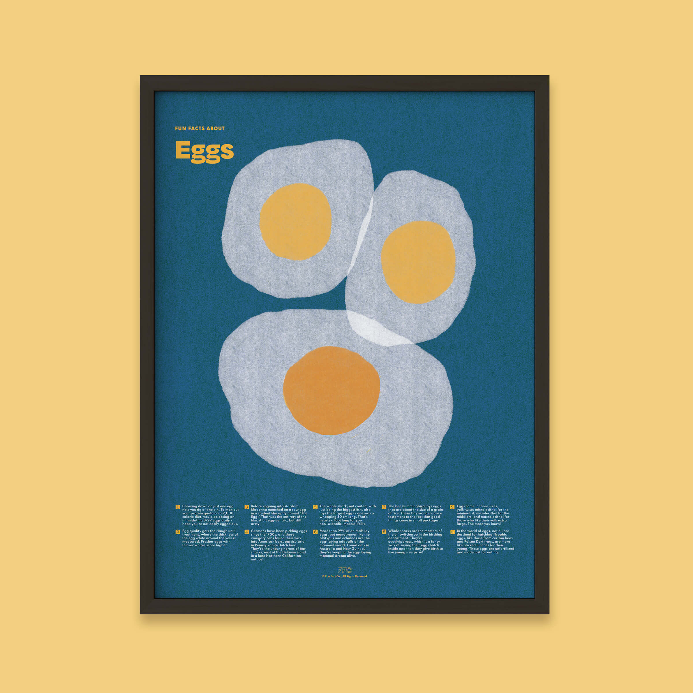 Egg Fun Facts Print - 12x16" / Black Frame