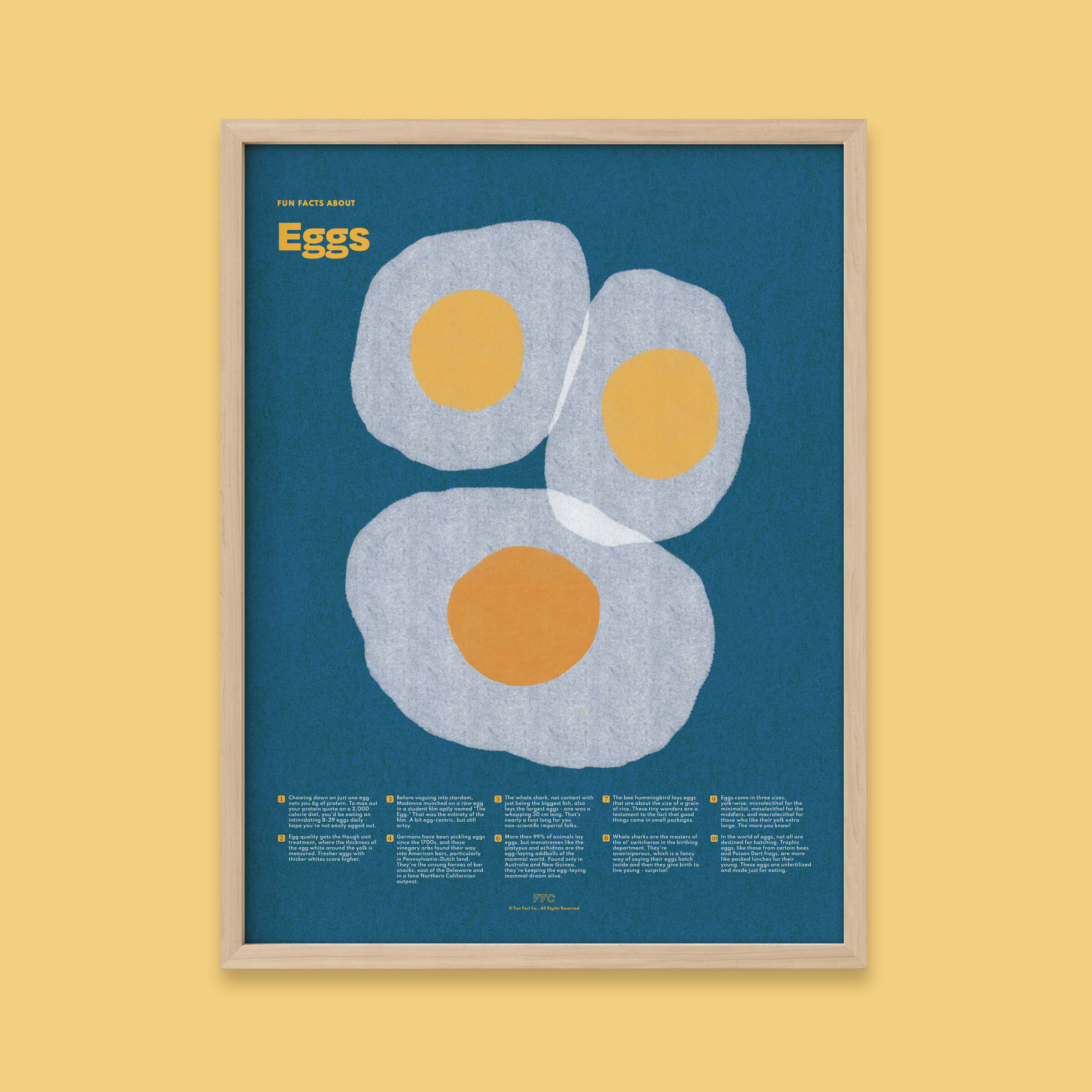 Egg Fun Facts Print - 12x16" / Natural Frame