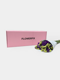 Purple Eustoma (Lisianthus)