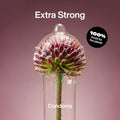 Extra Strong Condoms - 10 / 56 mm